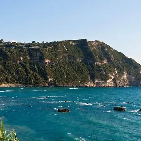Pithecusa Apartment Ischia